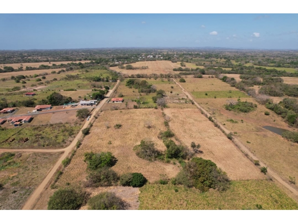 Lote cerca a la playa ( 9 parcelas) - 2