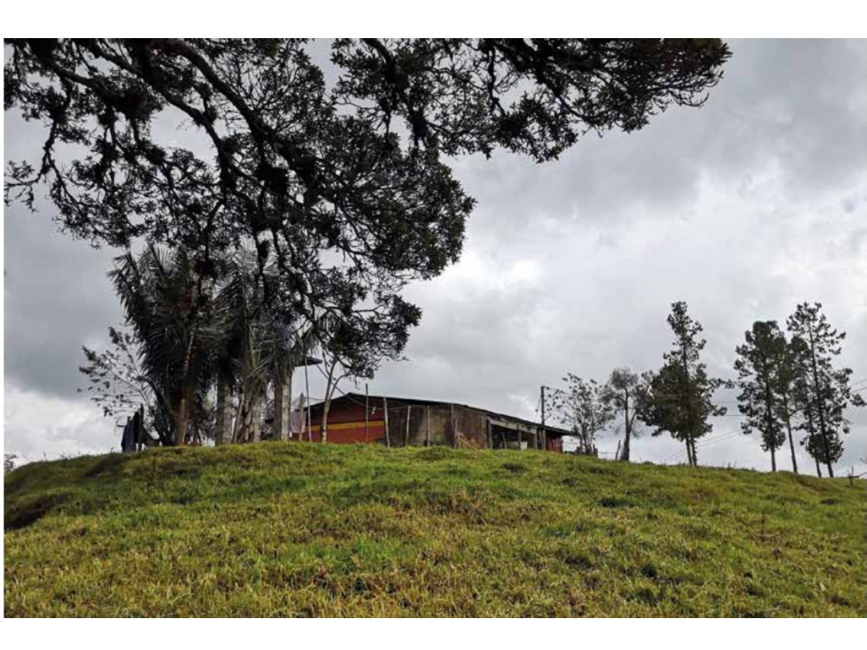 Gran Finca Lechera al Borde de Vía Pavimentada, Norte Antioquia - 2