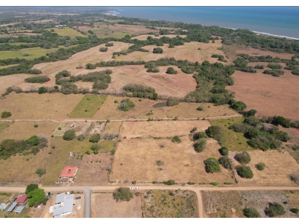 Lote cerca a la playa ( 9 parcelas) - 3