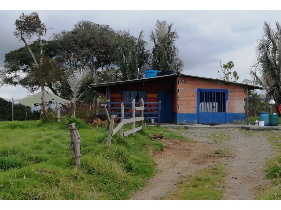 Gran Finca Lechera al Borde de Vía Pavimentada, Norte Antioquia - 3