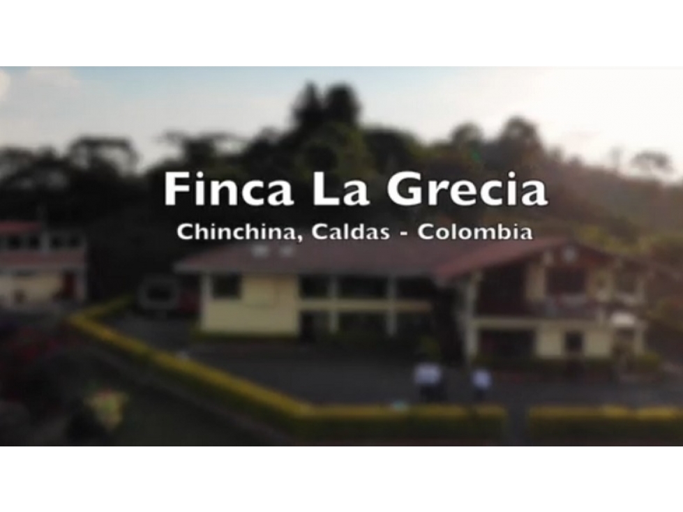 FINCA CAFETERA DE GRAN POTENCIAL EN CHINCHINA CALDAS - 1
