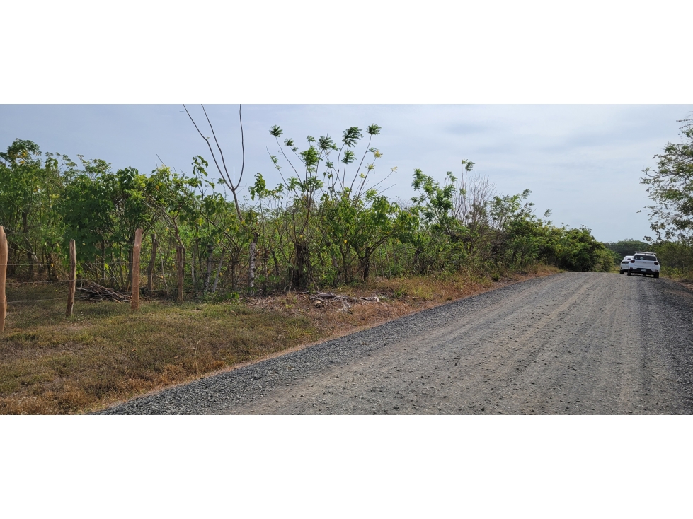 Lote cerca a la playa ( 9 parcelas) - 5