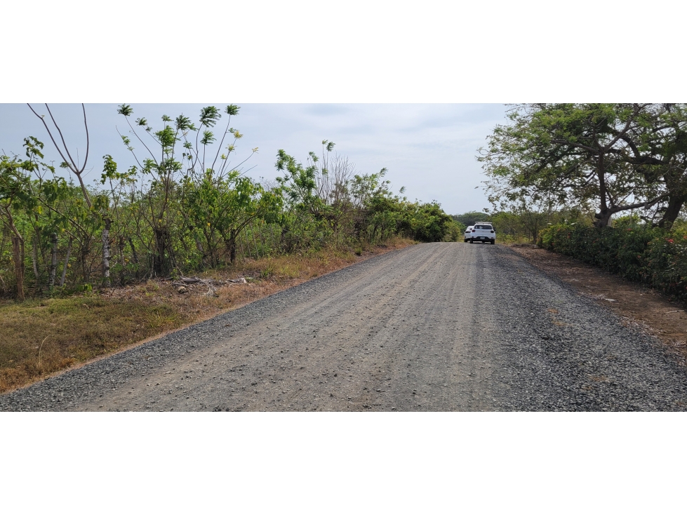 Lote cerca a la playa ( 9 parcelas) - 6