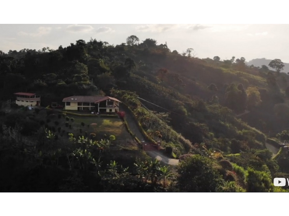 FINCA CAFETERA DE GRAN POTENCIAL EN CHINCHINA CALDAS - 4