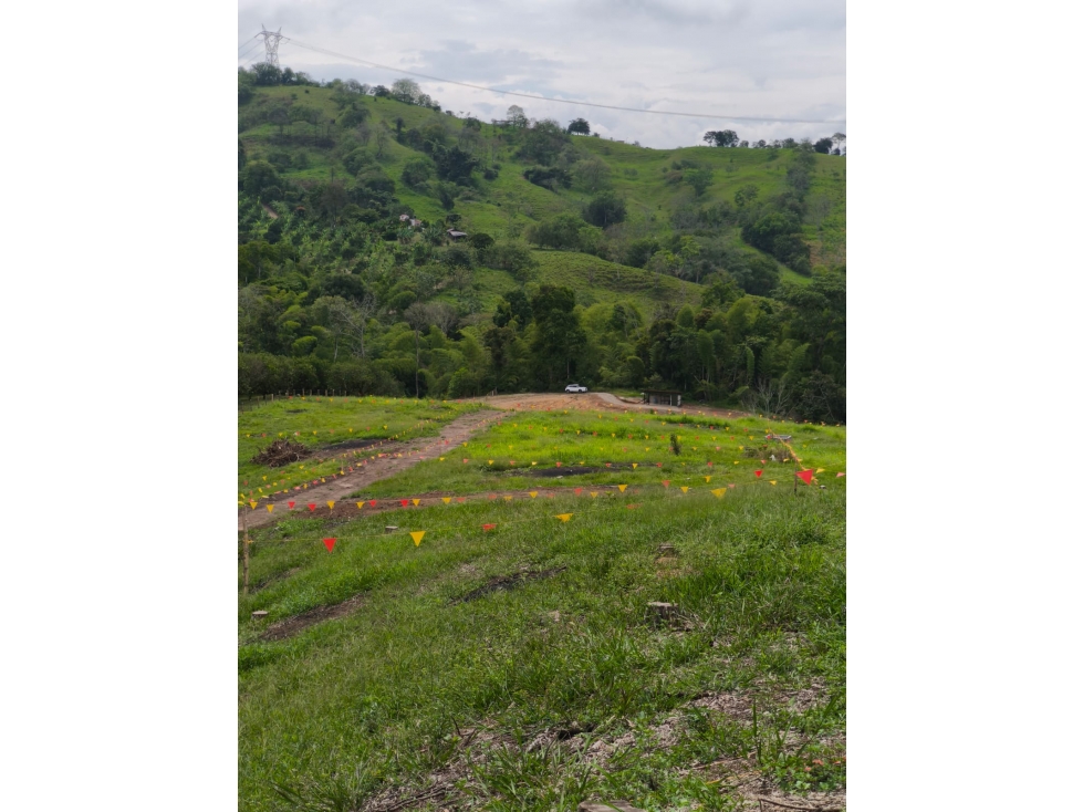 Venta de lote en Las margaritas