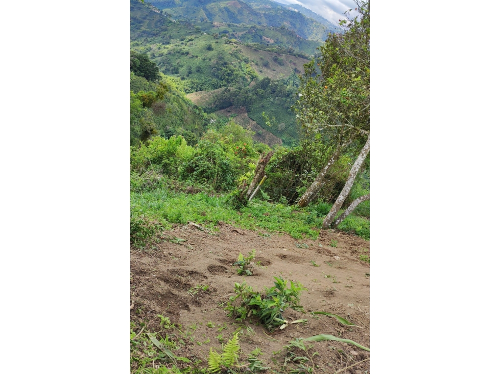 Venta de lote en el Alto Del Naranjo - 2