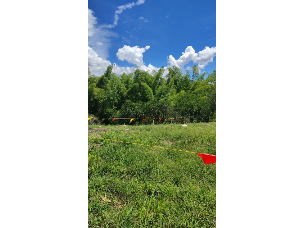 Venta de lote en Las margaritas — foto 2