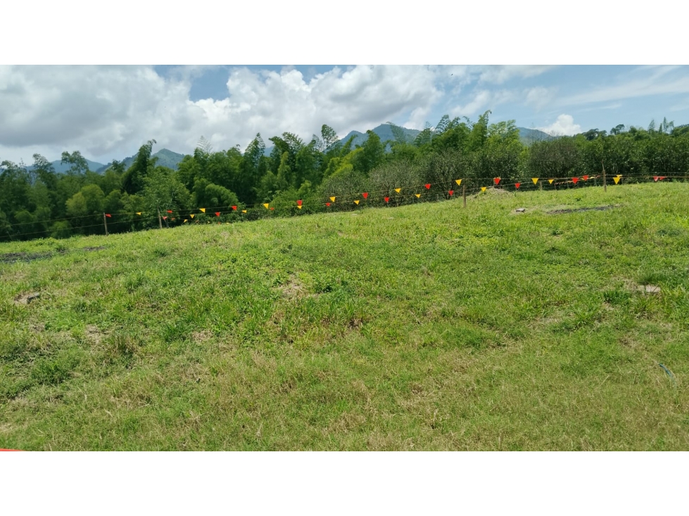 Venta de lote en Las margaritas — foto 3