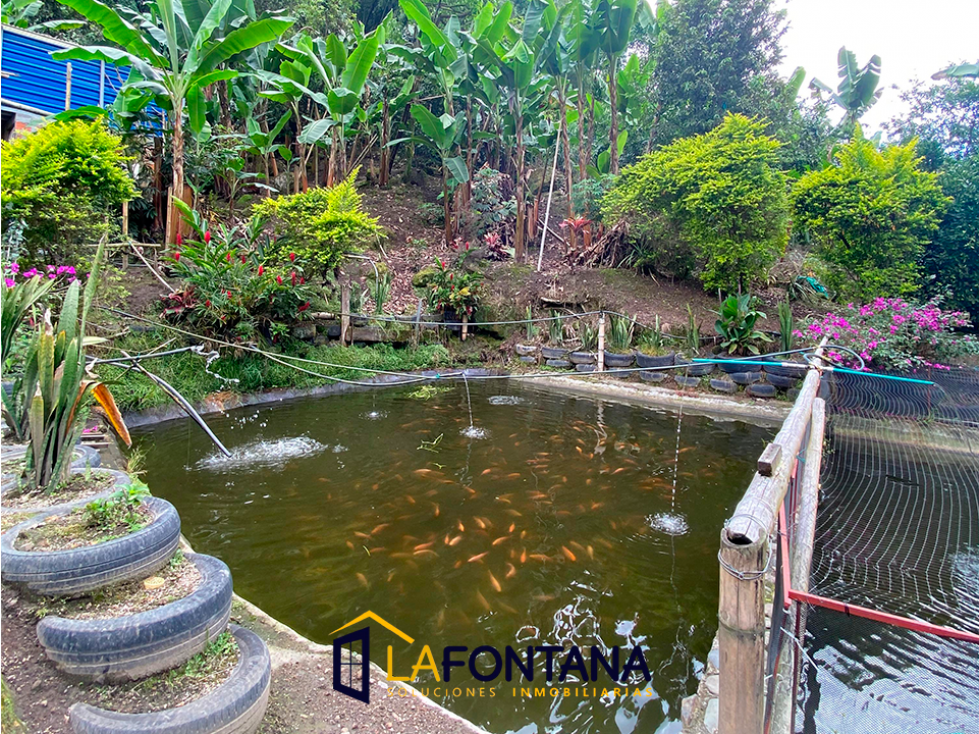 Venta de finca en Rio Claro — foto 6