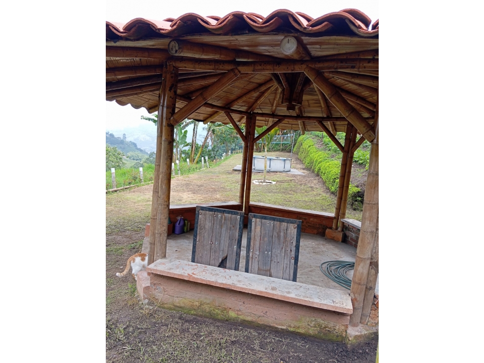 Venta de casa campestre en Santa Rosa De Cabal — foto 6
