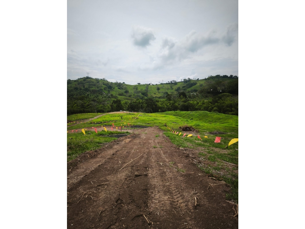 Venta de lote en Las margaritas — foto 6