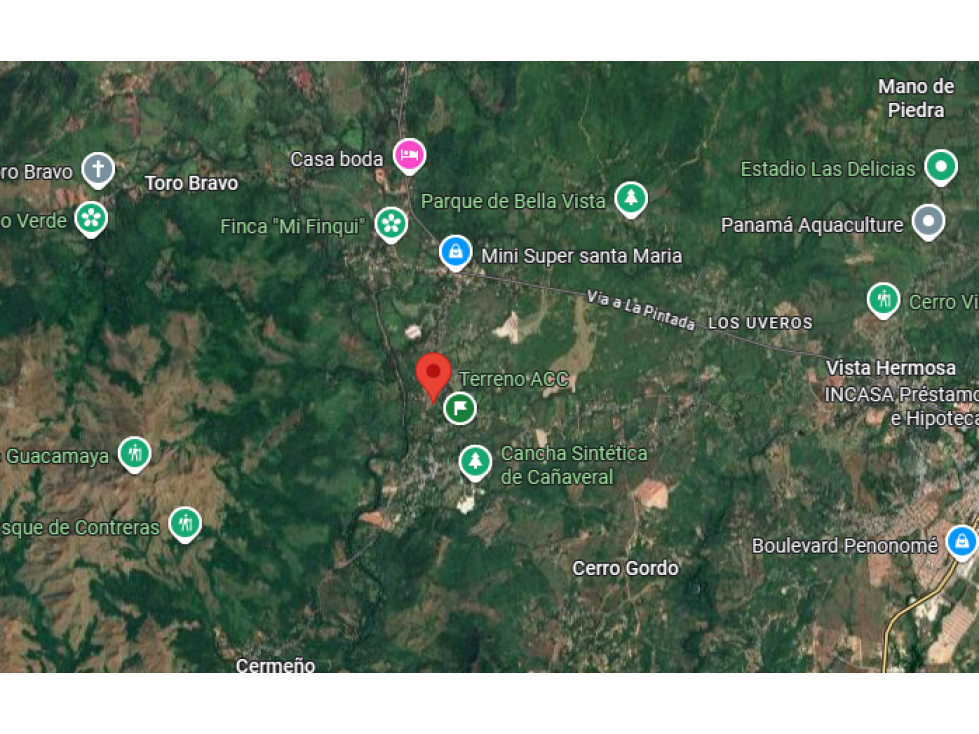 VENDO 1 HA EN PENONOME A 10 MIN VIA PANAMERICANA / JC - 6