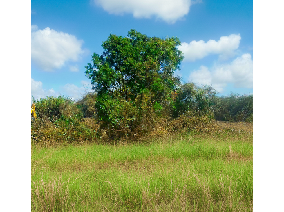 VENDO 1 HA EN PENONOME A 10 MIN VIA PANAMERICANA / JC - 2