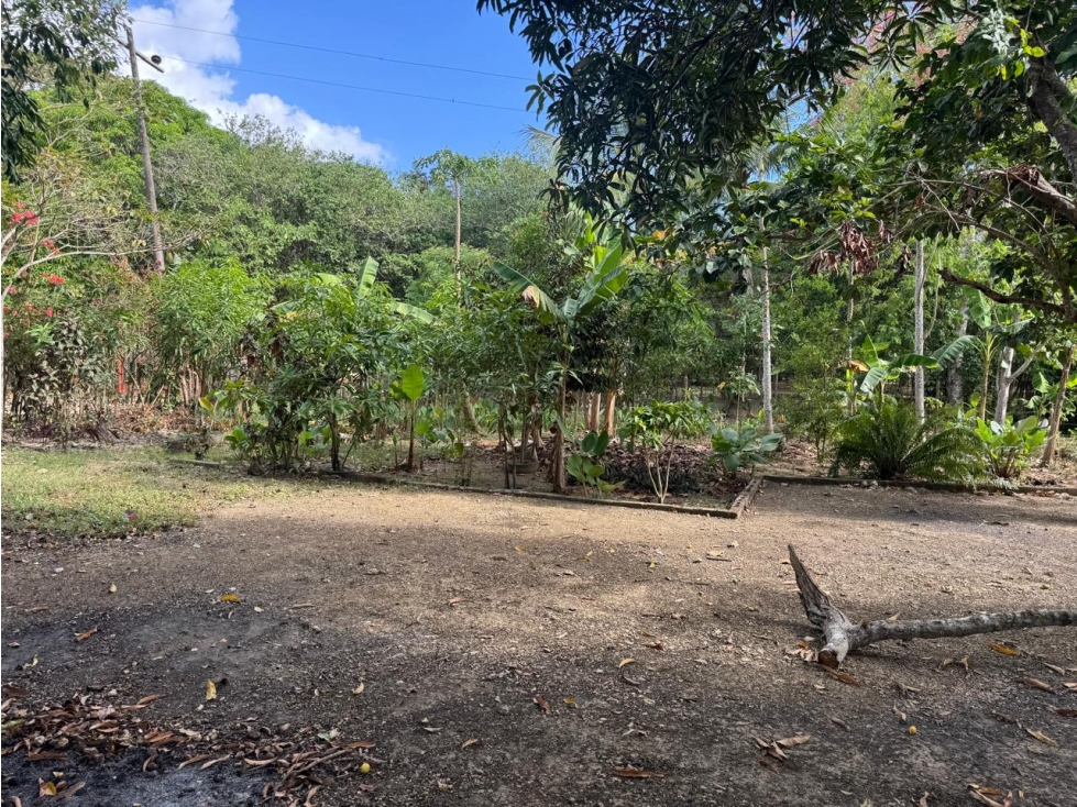 FINCA O PARCELA EN SANTA ROSA DE LIMA - SECTOR CHIRICOCO - 5