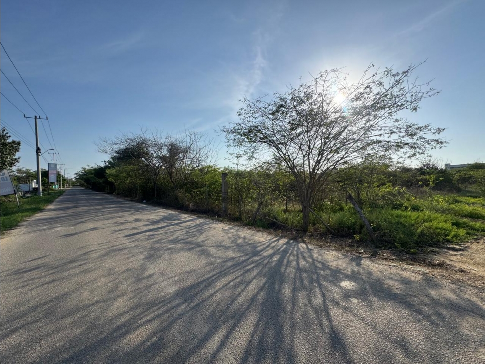 LOTES CAMPESTRES EN MANZANILLO DEL MAR - CON ACCESO AL MAR CARIBE — foto 2