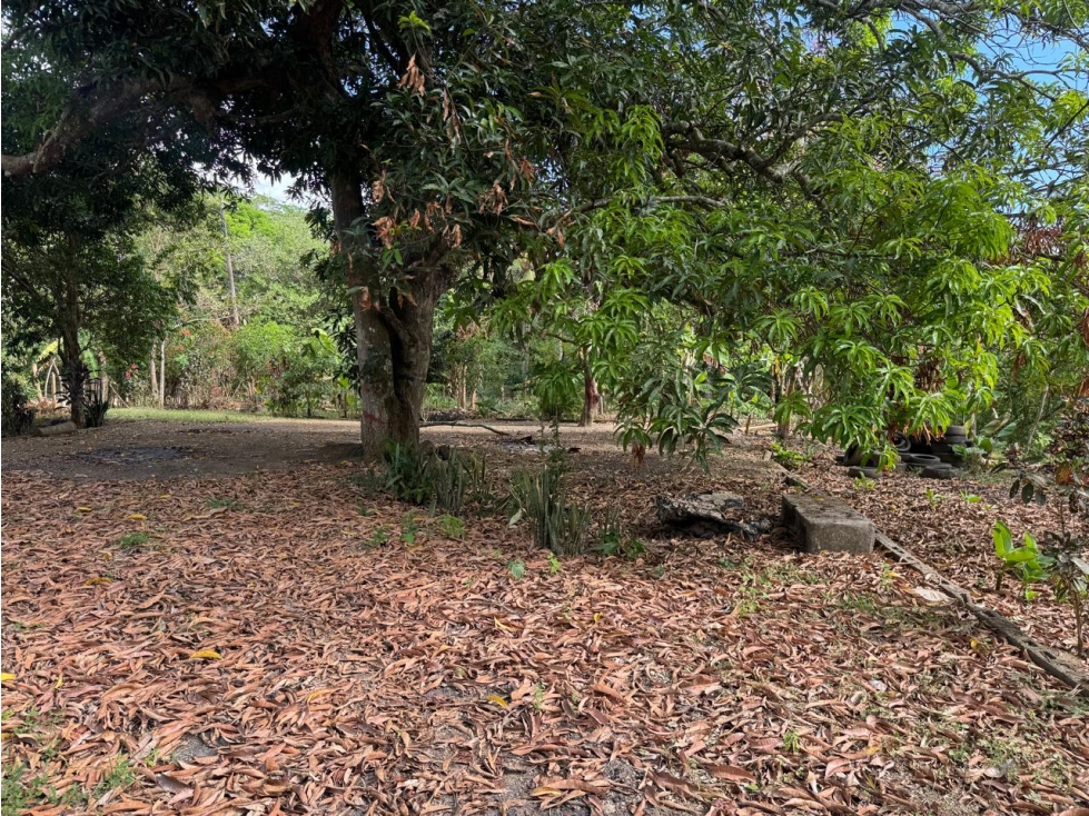 FINCA O PARCELA EN SANTA ROSA DE LIMA - SECTOR CHIRICOCO - 4