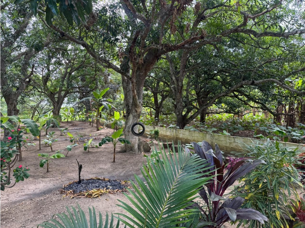FINCA O PARCELA EN SANTA ROSA DE LIMA - SECTOR CHIRICOCO - 3