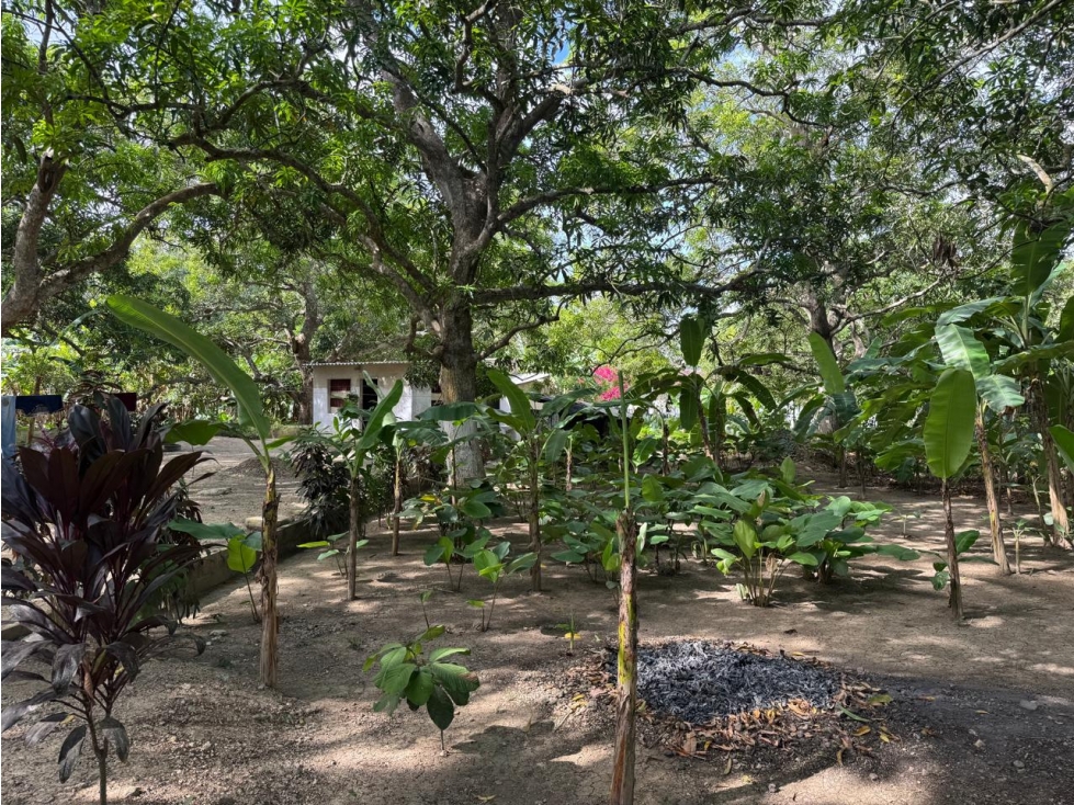 FINCA O PARCELA EN SANTA ROSA DE LIMA - SECTOR CHIRICOCO - 6