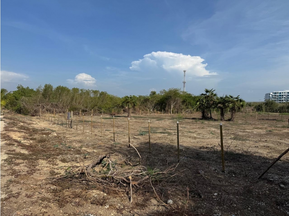 LOTES EN MANZANILLO DEL MAR - ZONA NORTE DE CARTAGENA — foto 4