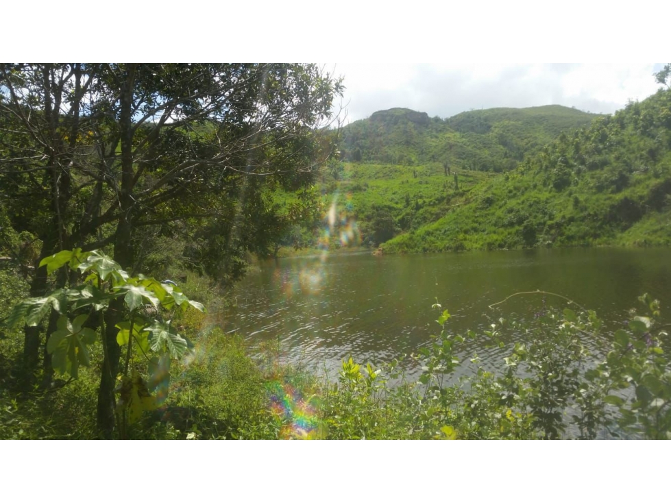 OPORTUNIDAD DE INVERSION LOTES FAMILIARES VALEON PRADO TOLIMA - 5