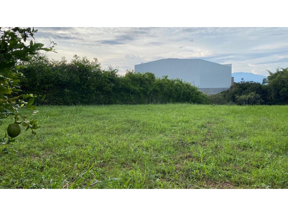 LOTE EN CERRITOS SECTOR JAIBANA PEREIRA FQ