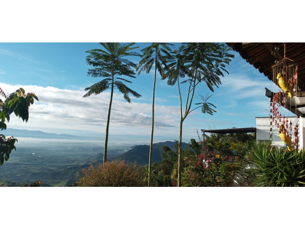 Se vende Finca Hotel en Ansermanuevo - Valle del Cauca - 5