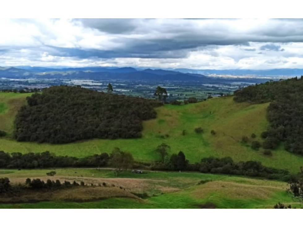 Finca en venta Vereda Prado Alto-Facatativá - Cundinamarca - 2