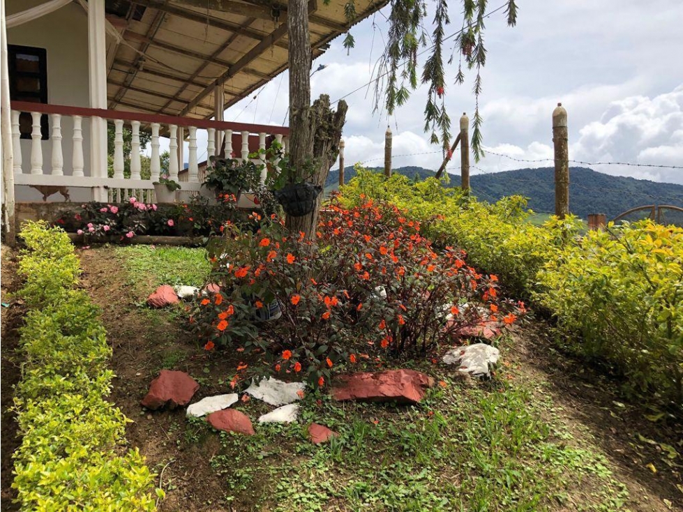 Venta Casa Finca Bello Horizonte, El Queremal, Dagua, Valle del Cauca - 2