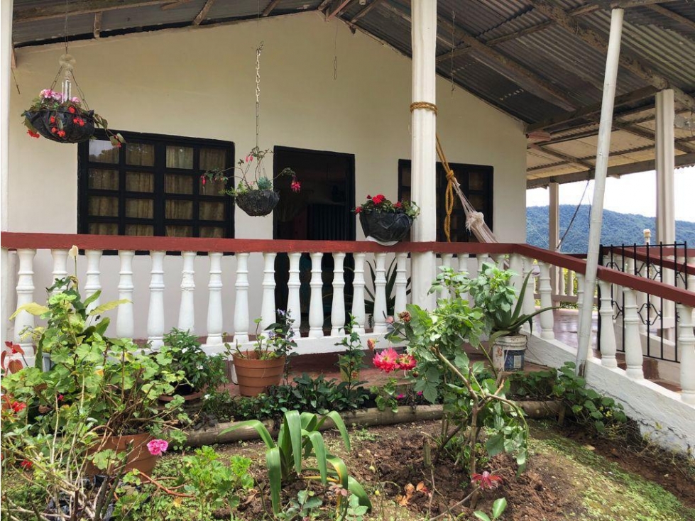 Venta Casa Finca Bello Horizonte, El Queremal, Dagua, Valle del Cauca - 4