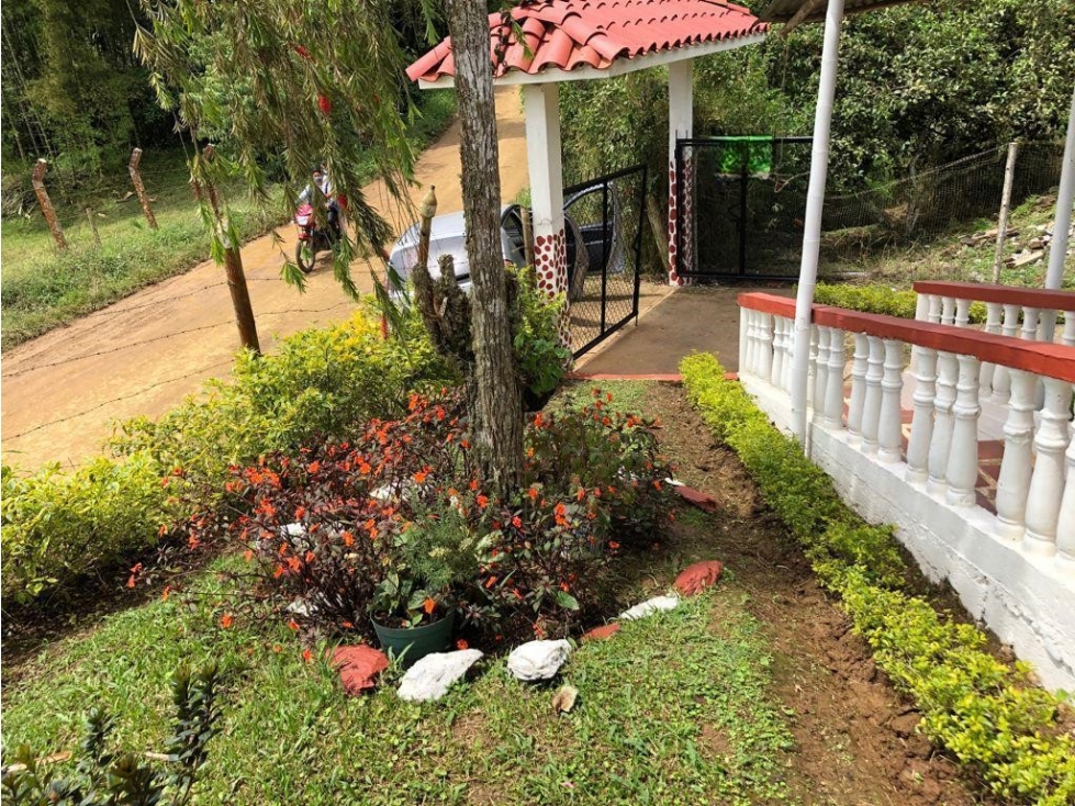 Venta Casa Finca Bello Horizonte, El Queremal, Dagua, Valle del Cauca - 3
