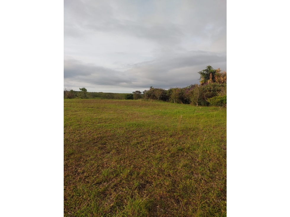 Se Vende lote en Condominio vía Armenia AF