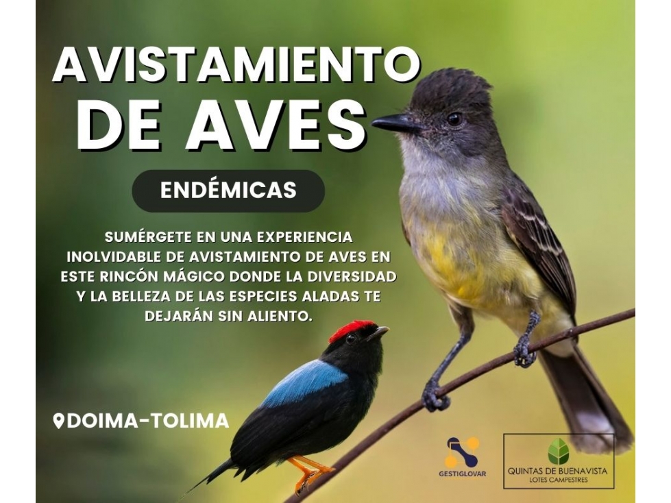 Tus Sueños en Doima, Tolima: Lotes desde 220 m2 - 4