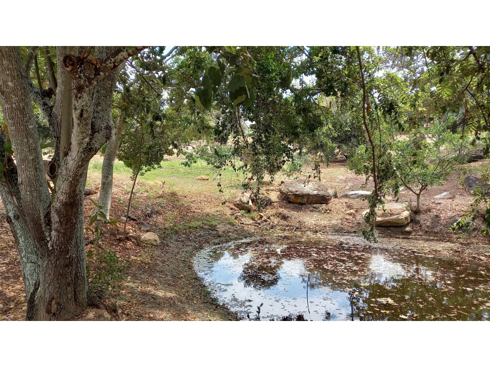 LOTES EN VENTA LA MESA SAN JOAQUIN - 4