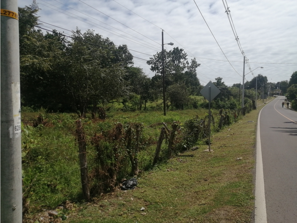 FINCA EL HATILLO, Chame, Panama Oeste - 5