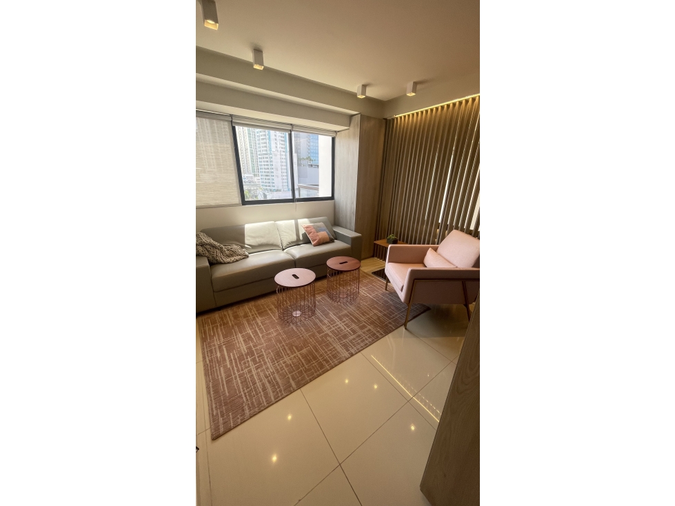 SE VENDE APARTAMENTO NUEVOS EN BELLA VISTA, BBY — foto 6