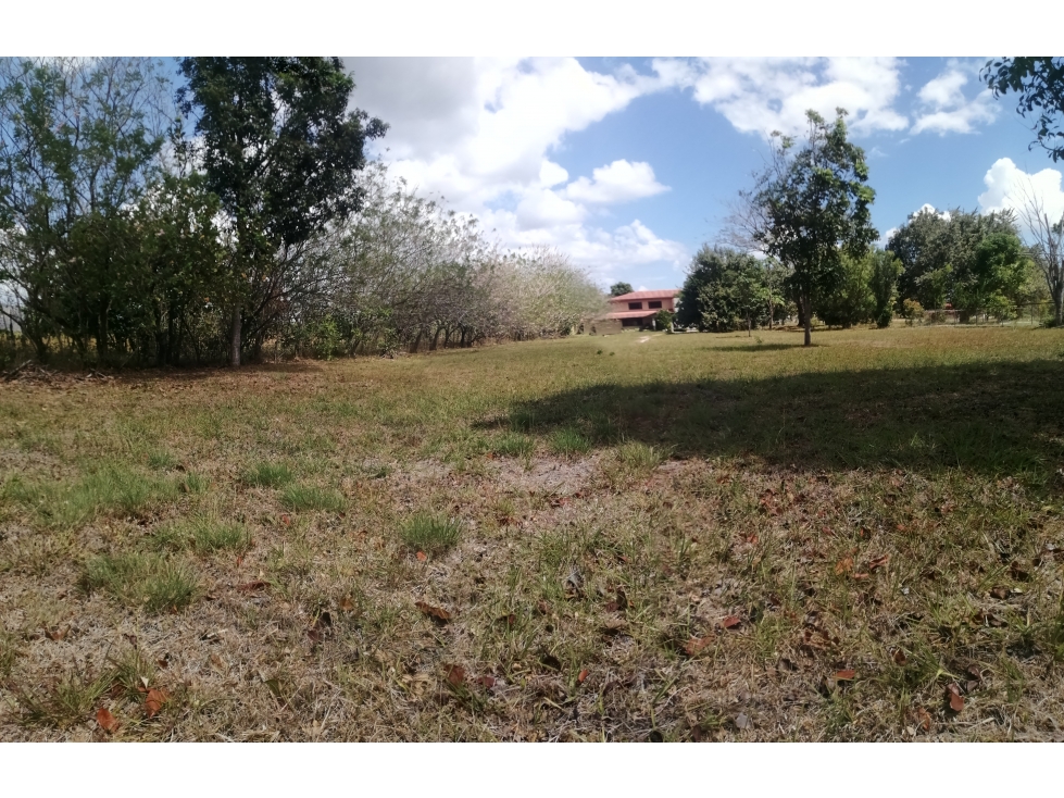 LOTE 65 LA COLONIA - 2