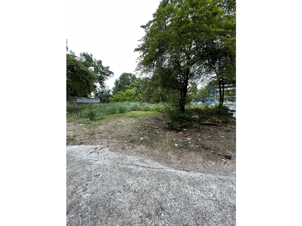 VENTA DE TERRENO EN EL CANGREJO — foto 2