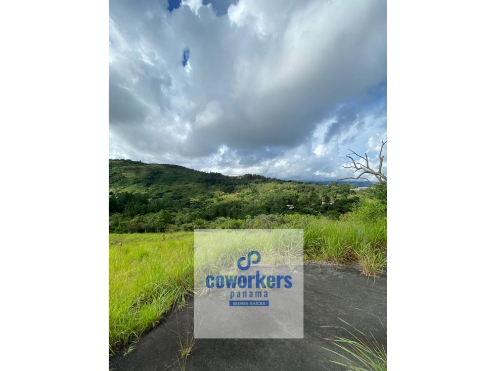 ALTA BAVARIA, terrenos de campo, Sora De Chame, PANAMA OESTE - 2