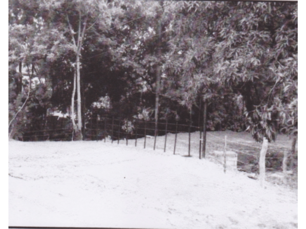 Terreno en venta, Penonomé — foto 3