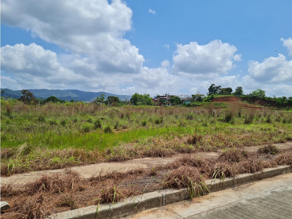 LOTE COMERCIAL PARA VENTA | TOCUMEN, PANAMA ESTE - 3