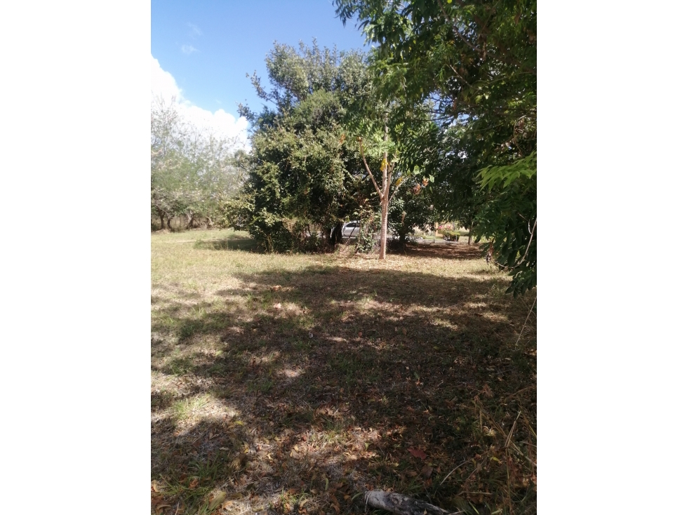LOTE 65 LA COLONIA - 3