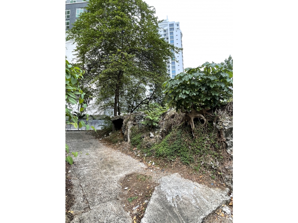 VENTA DE TERRENO EN EL CANGREJO — foto 3