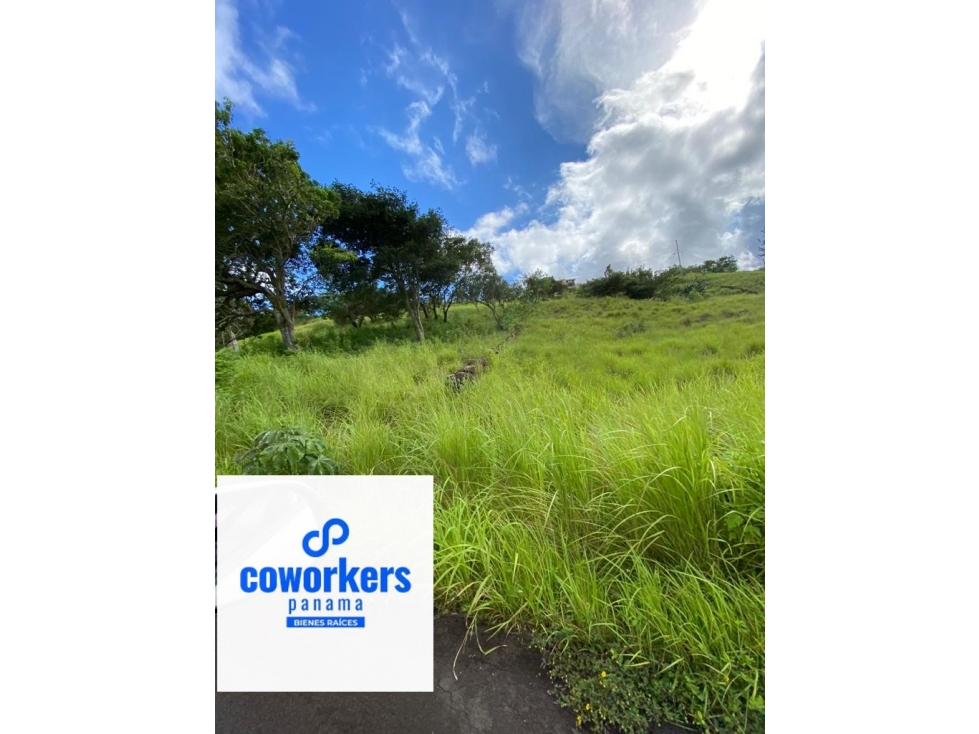 ALTA BAVARIA, terrenos de campo, Sora De Chame, PANAMA OESTE - 3