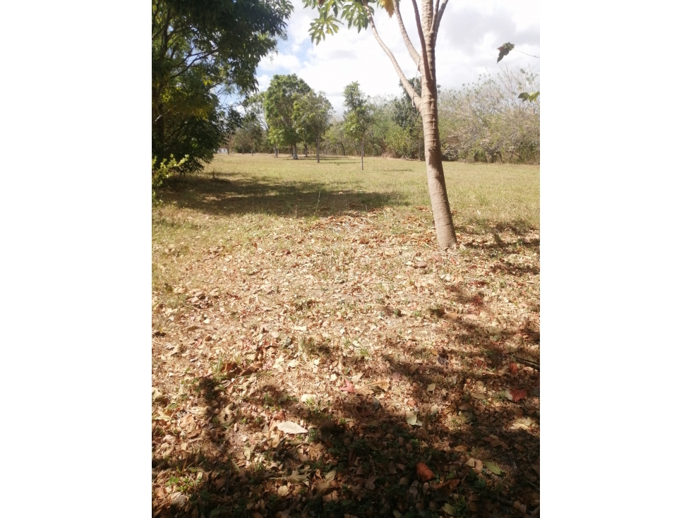 LOTE 65 LA COLONIA - 4