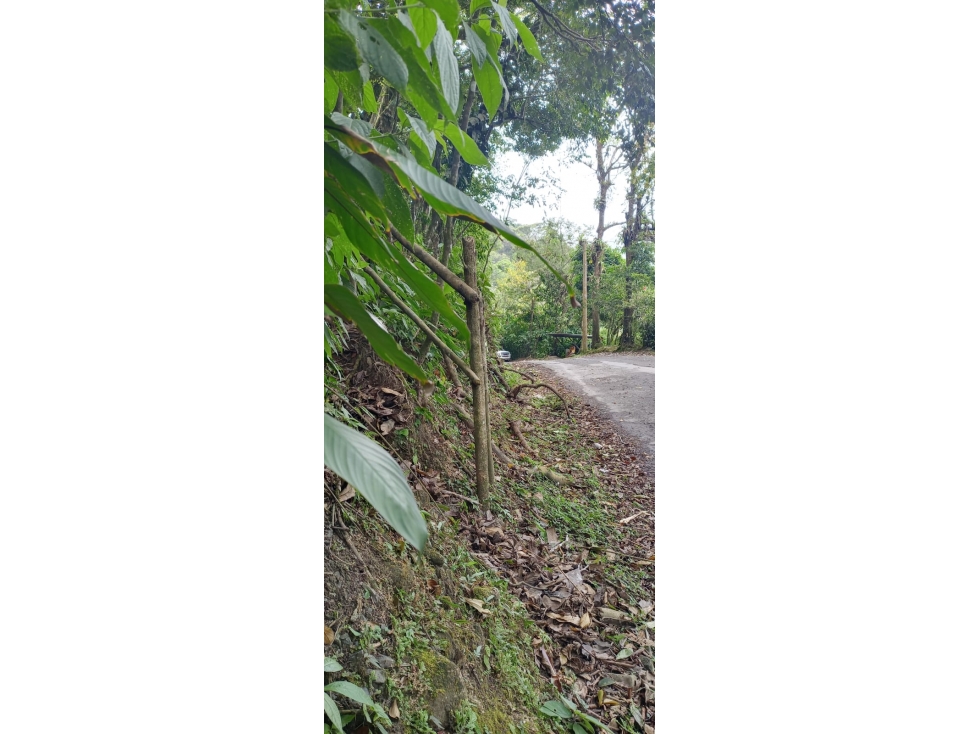 TERRENO EL VALLE DE ANTON - 4