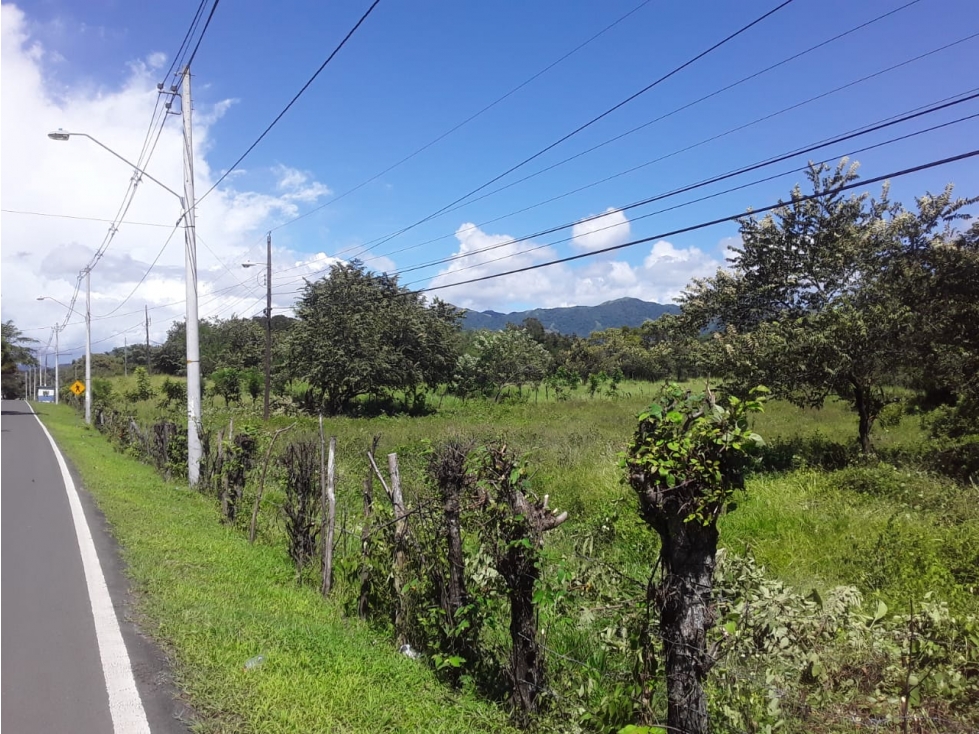 FINCA EL HATILLO, Chame, Panama Oeste - 1