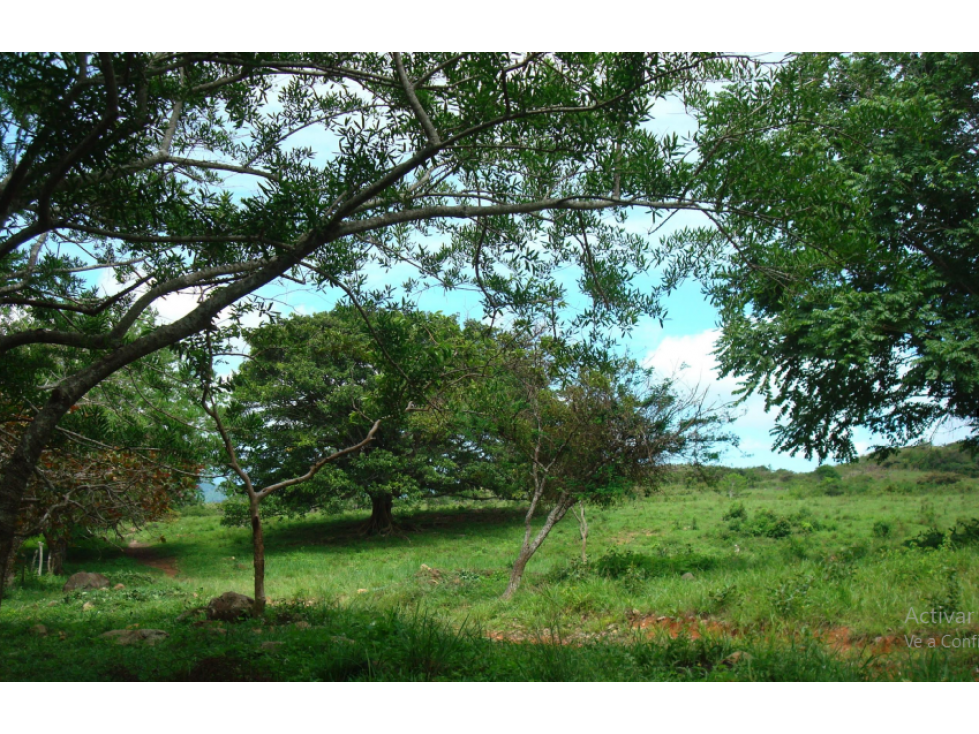 Terrenos en Sorá de CHame Bajo Verde, PANAMA OESTE - 6