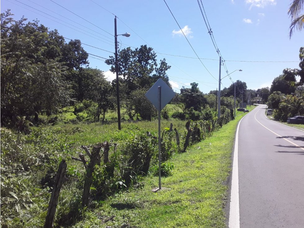 FINCA EL HATILLO, Chame, Panama Oeste - 2