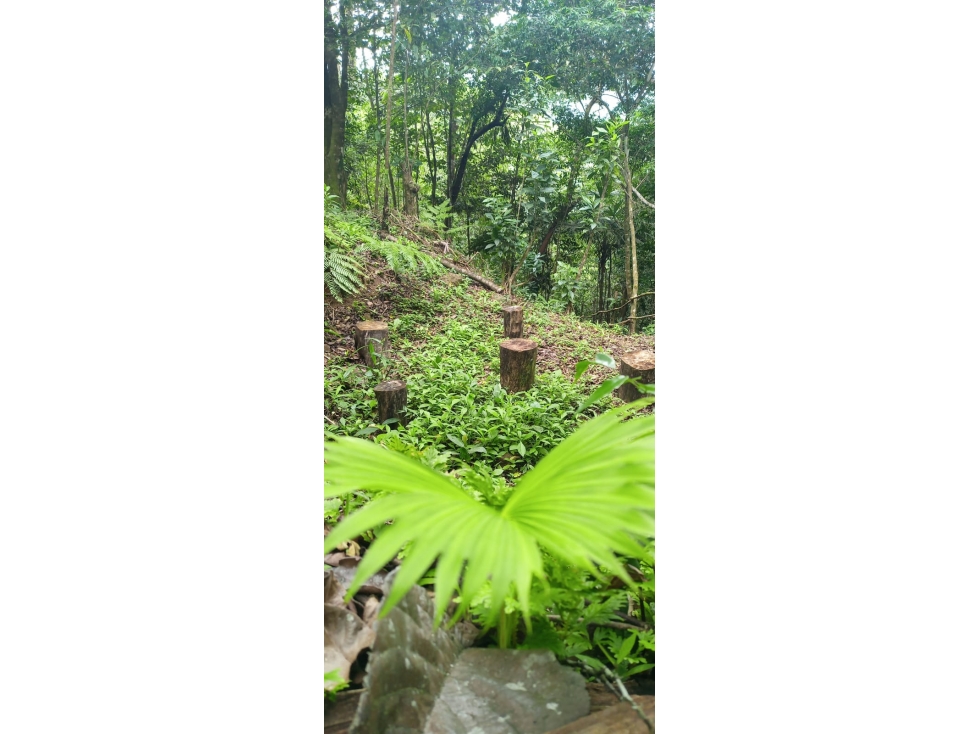 TERRENO EL VALLE DE ANTON - 6
