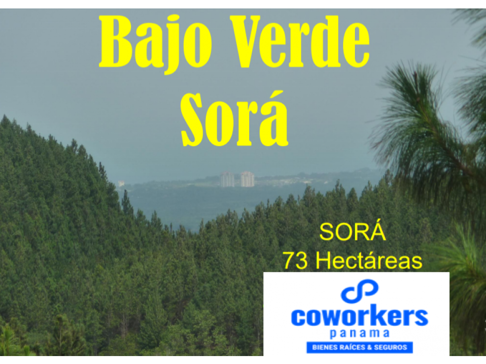 Terrenos en Sorá de CHame Bajo Verde, PANAMA OESTE - 1